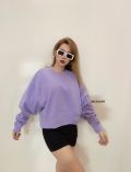 Áo Hoodies DSG Cổ Tròn - 3699