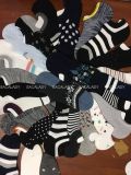 combo-5-vo-nu-co-lun-gap-cat-nhan-phoi-mau-ngu-sac-size-37-43-2813_1