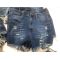 Quần Short Jeans APHRODITE Rách Tua Rua (Cắt Nhãn Chính) - 3591